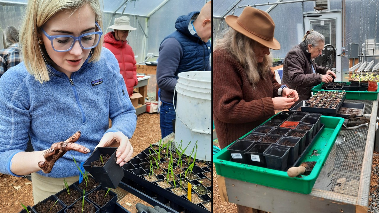 Seedling Workshop